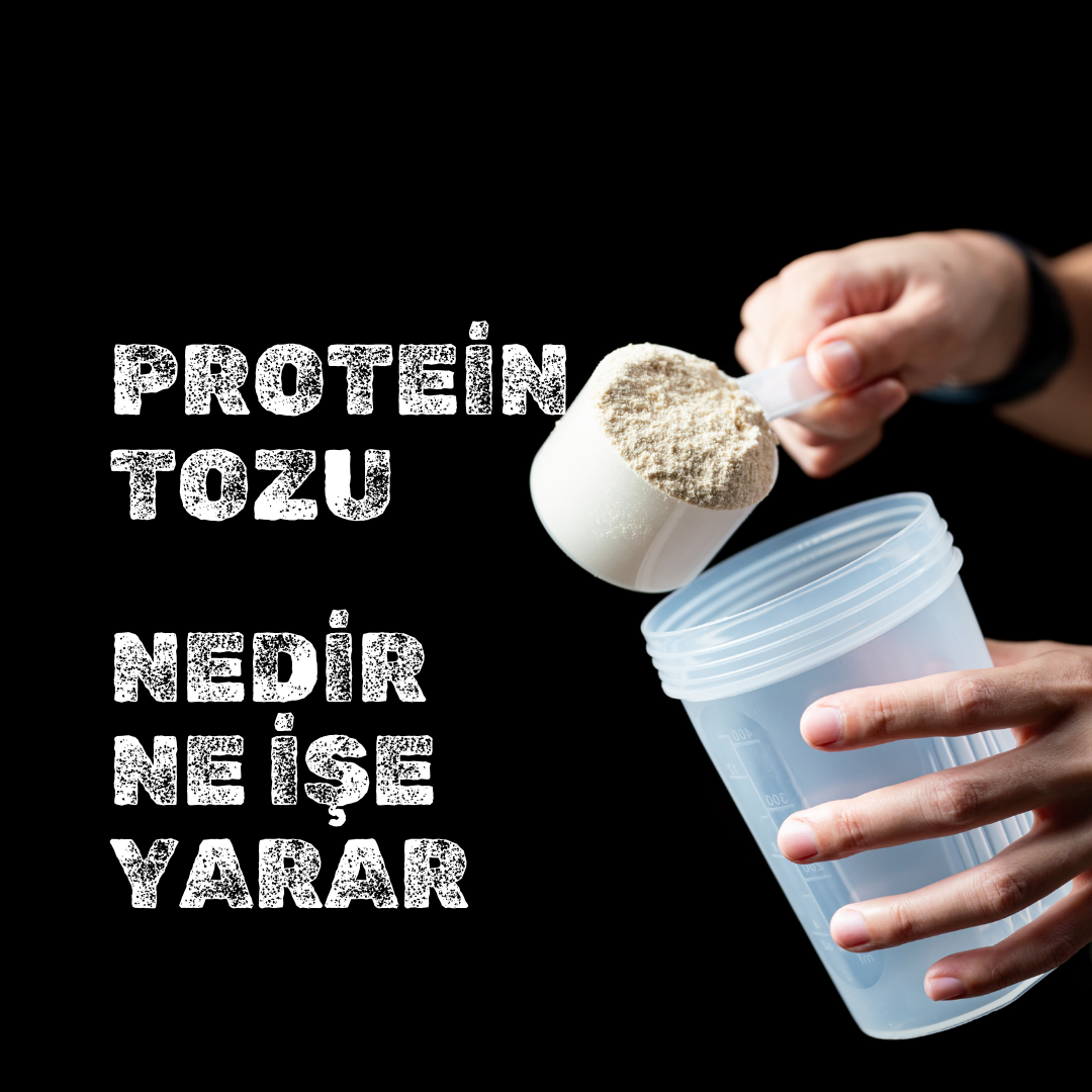 Protein Tozu Nedir? Ne İşe Yarar