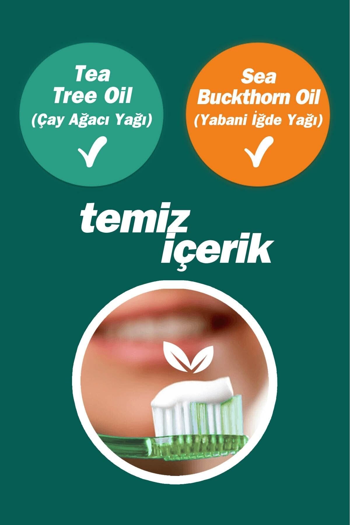 Diş%20Macunu%2075%20ml%20Ağız%20Kokusu%20Ve%20Ağız%20Yaralarında%20(FLORÜRSÜZ)%20(ÇAY%20AĞACI%20YAĞI%20/%20TEA%20TREE%20OIL)